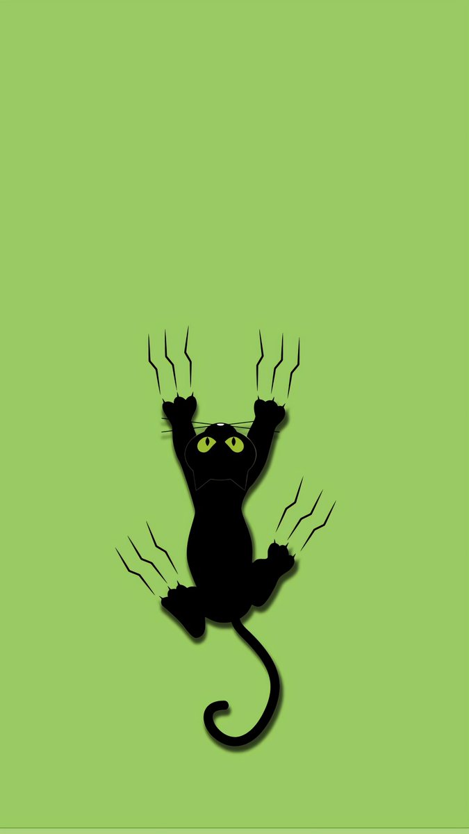 amaancg's tweet photo. Scratchy Kitty ..🐱💚 https://t.co/vPEiSEnnnl
