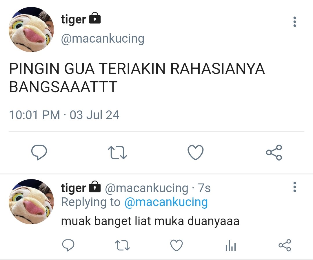 Maa 🐻 ia 🍉 tweet media
