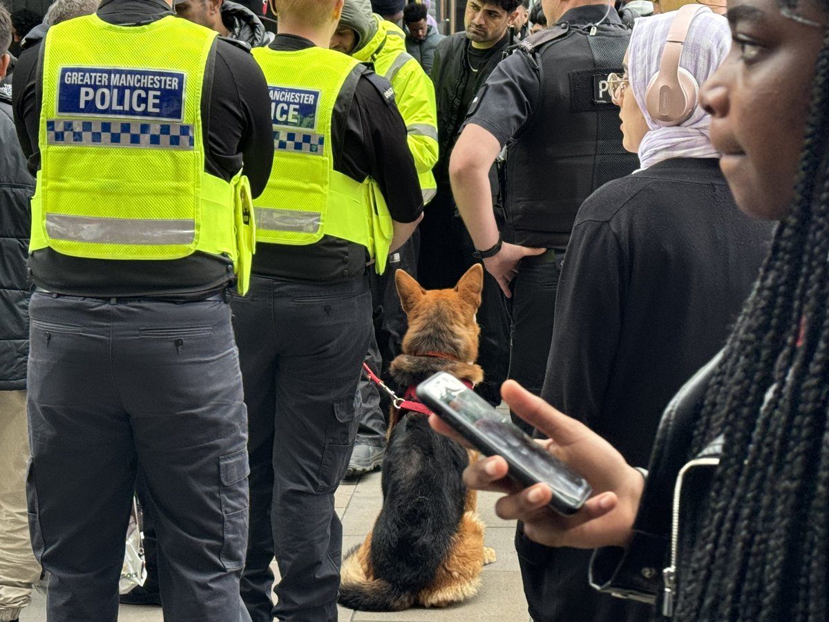 AntBonneybwfc's tweet photo. Armed response cops, called to Manchester City centre, over concerns of a dangerous dog!
@MENnewsdesk @GMPCityCentre
#NotDangerous #Overkill https://t.co/DzWLkYgDVs