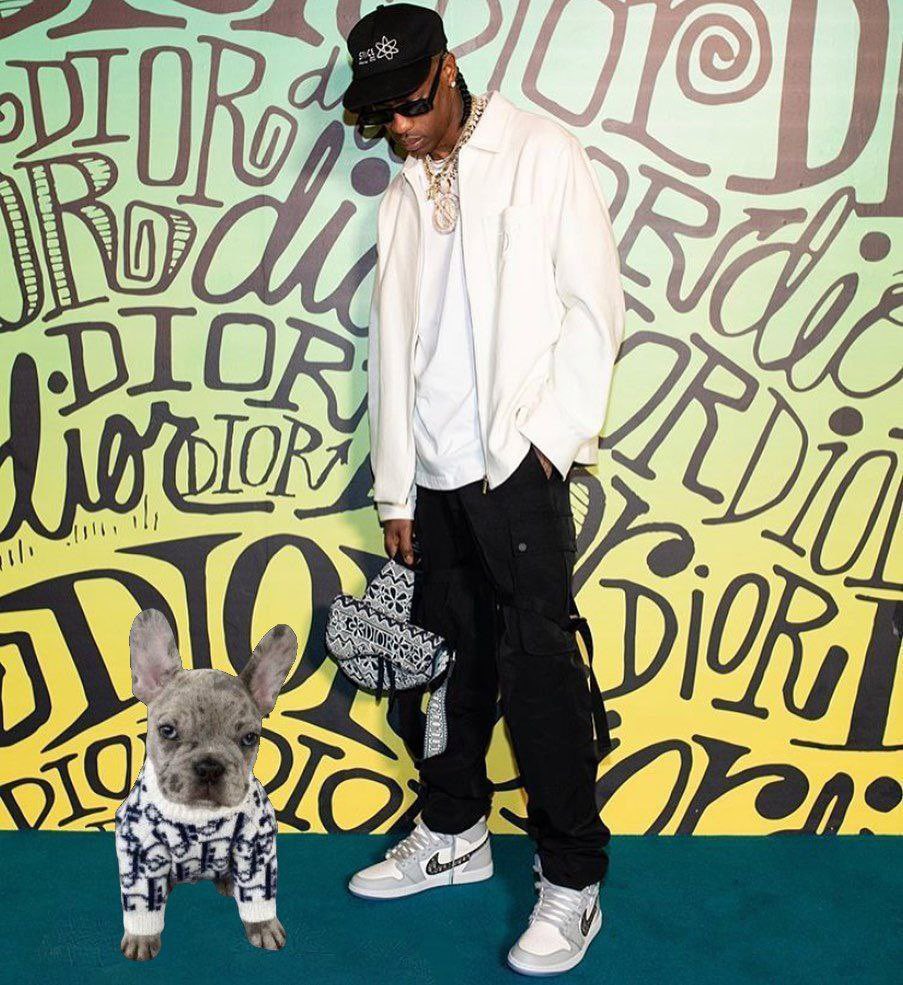 Dior_BestFriend's tweet photo. @RaphaelAdekunl6 @cryptojack @diordogcto @Dior100x $DIOR bullish AF https://t.co/d8YI1DtpCu