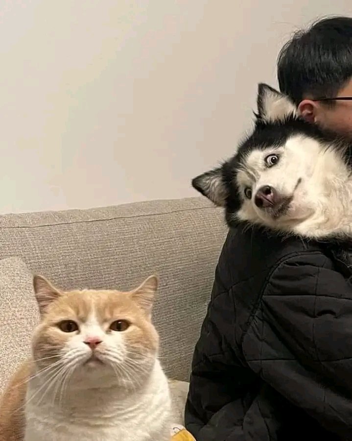 Photobomb
