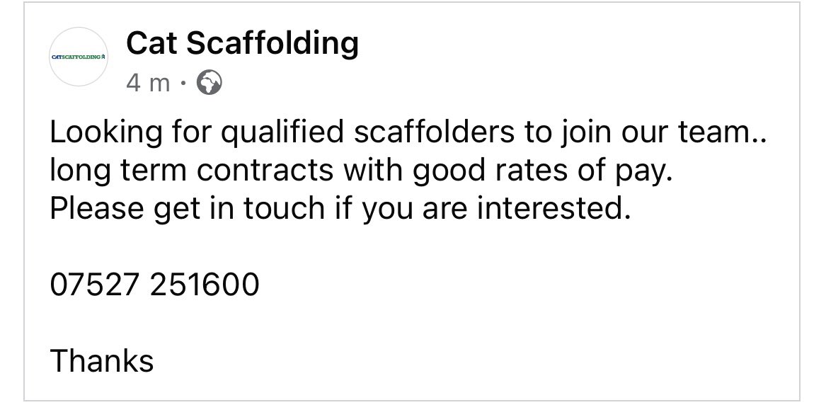 cat scaffolding (@catsscaffolding) on Twitter photo 