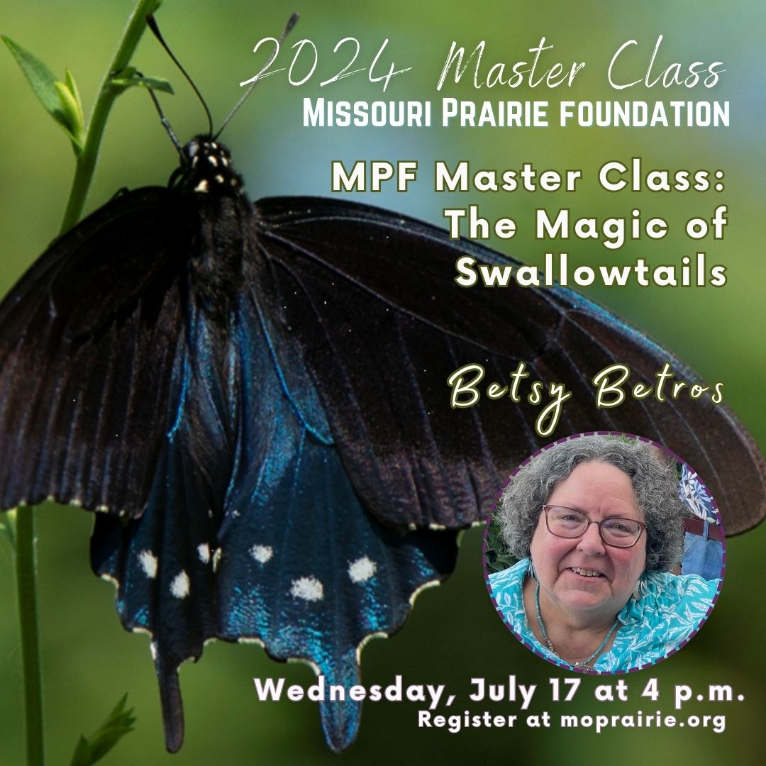 July 17 at 4 p.m. -- Missouri Prairie Foundation Webinar: Native Bees of Missouri’s Ozark Woodlands and Glades. Cost: Free to all MPF dues-paying members and Grow Native! professional members, or $15 for non-members. Register at secure.lglforms.com/form_engine/s/…
