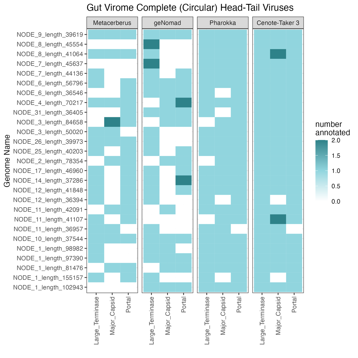 MikeTisza's tweet photo. I'm exploring how to benchmark virus gene annotation on genomes from real metagenomes.
Complete head-tail virus genomes should ~always have major capsid, portal, and large terminase genes, so I tested some tools' ability to find/annotate these genes.
Cenote-Taker 3 looking great! https://t.co/FfwQPUmytg