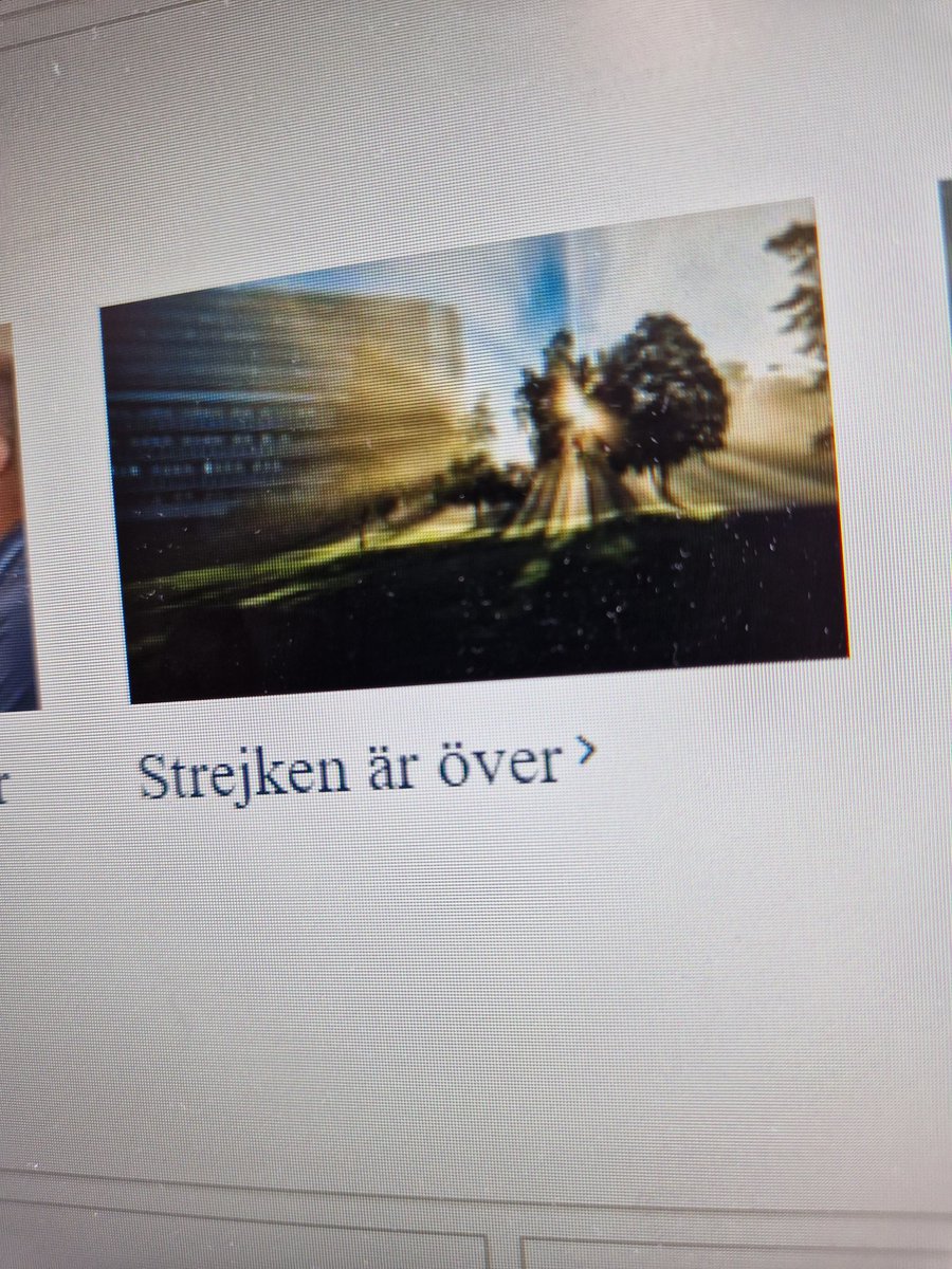 DS intranät är så poetiskt