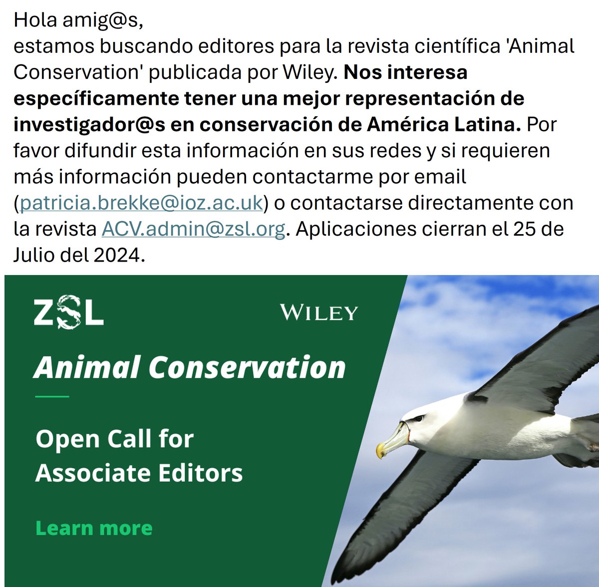 Animal Conservation (@animalconserv) on Twitter photo 📢Investigador@s en conservación de América Latina📢👇…lpublications.onlinelibrary.wiley.com/hub/journal/14…👇<a href="/ZSLScience/">ZSL Science</a> 📢Investigador@s en conservación de América Latina📢👇…lpublications.onlinelibrary.wiley.com/hub/journal/14…👇<a href="/ZSLScience/">ZSL Science</a>