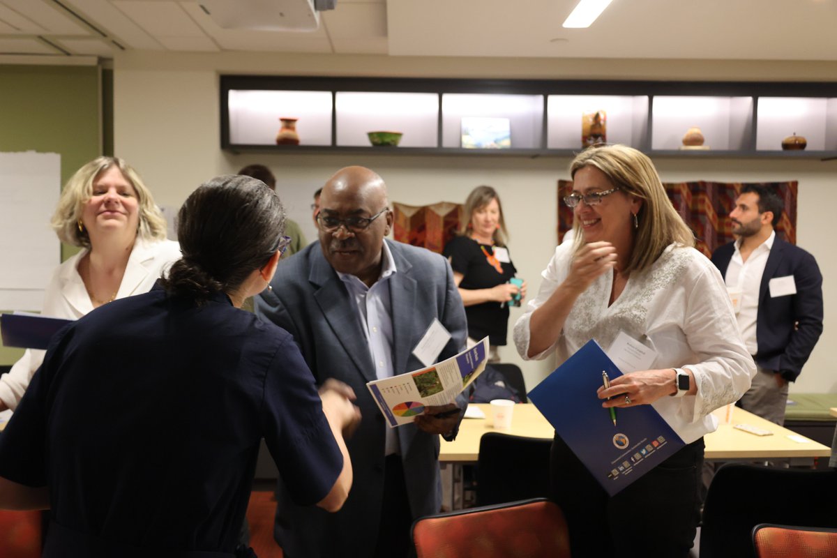 Haiti Development Institute tweet media