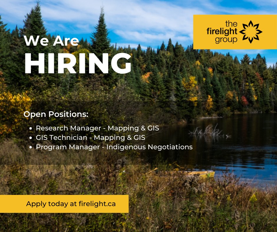 Firelight tweet media