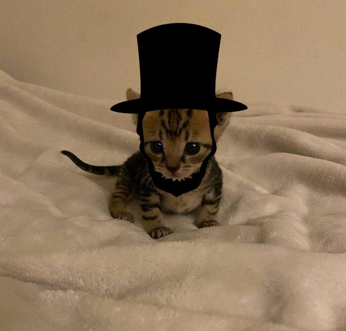 Huntery0_'s tweet photo. @_Crypt0g0d_ @cryptojourneyrs $BOBBY https://t.co/oQ3bUvrb4I