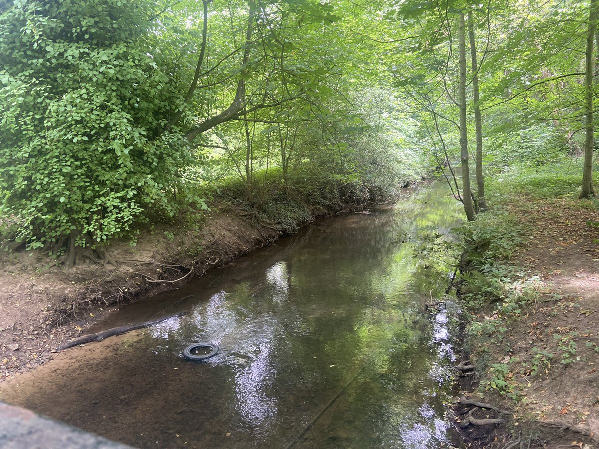 Gemma Burns tweet media