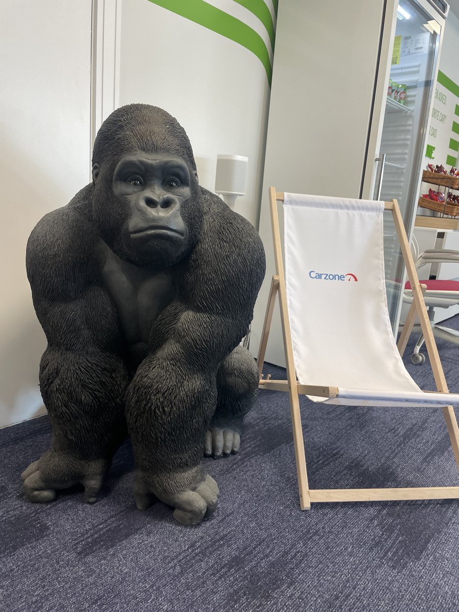 <a href="/rtenews/">RTÉ News</a> Garry's Irish cousin Glen is delighted to hear he is home safe. Been worried sick here all week at Carzone HQ! 🦍🇮🇪