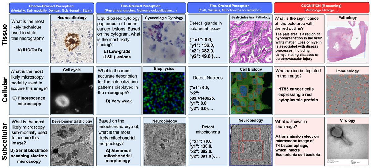 Microscopy is a cornerstone of biomedical research. Vision-language models (VLMs) offer a promising solution for large-scale biomedical image analysis, however standardized and diverse benchmarks have been lacking until now. Introducing µ-Bench

 ale9806.github.io/uBench-website/

[1/7]