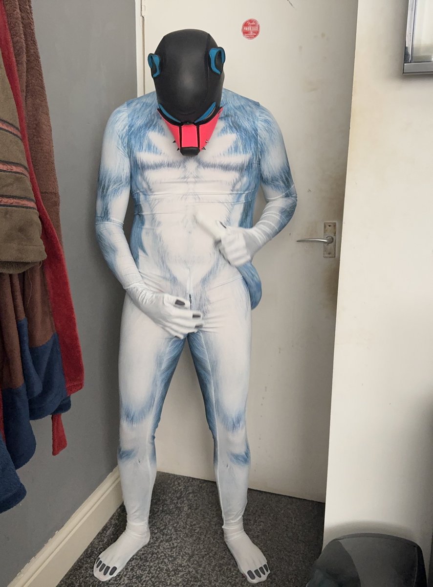 Pup 🐺 Max 🦊 tweet media