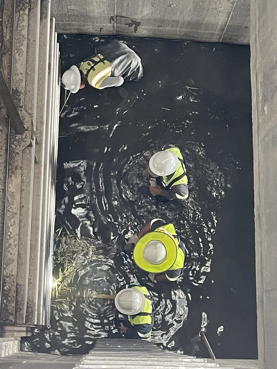 hcdd_1's tweet image. Our HCDD1 crews are doing their best to keep our drainage systems clean and ready for upcoming rain events! 👷🏼👷🏼‍♂️👷🏻

You can help keep our drainage ditches clean by calling 1-800-381-1051 to report Illegal Dumping 🚯