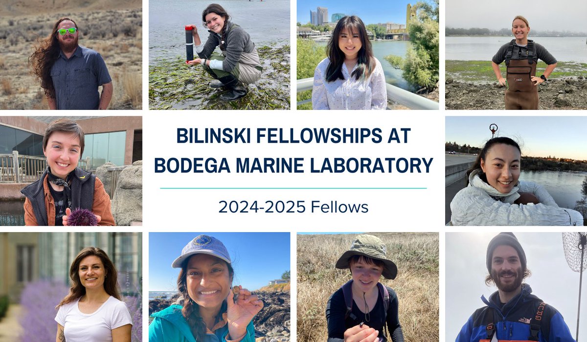Announcing the 10 recipients of the 2024-25 <a href="/ucdavis/">UC Davis</a> #BilinskiFellowships at Bodega Marine Lab! Congrats to Christopher Mulligan, Elisabeth Sellinger, Gabby Yang, Katie Erickson, Maddie Armstrong, Mei Blundell, Mikhaila Redovian, Shreya Banerjee, Tracie Hayes, &amp; Zeke Spooner!
1/3