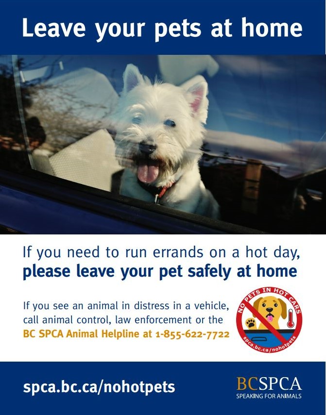 Vancouver Police tweet media