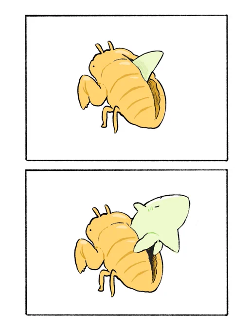 サメサメゼミ 