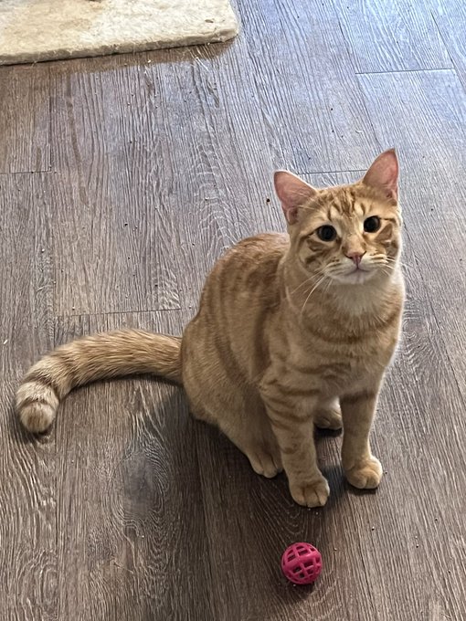 Gorts https://t.co/xjQ05CGJ1b<a href="/tag/nsfw"class="tags"><span>#nsfw</span></a>