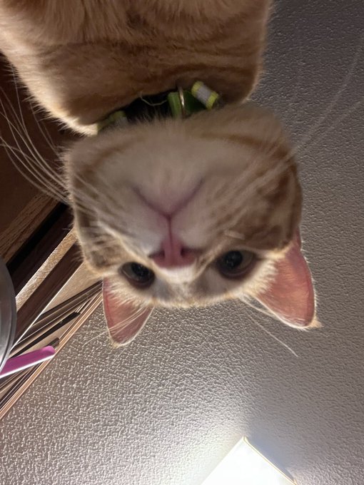 Gorts https://t.co/xjQ05CGJ1b<a href="/tag/nsfw"class="tags"><span>#nsfw</span></a>