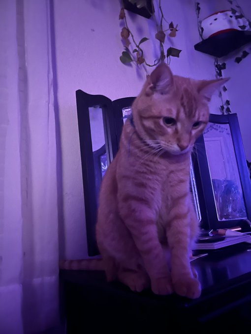 Gorts https://t.co/xjQ05CGJ1b<a href="/tag/nsfw"class="tags"><span>#nsfw</span></a>