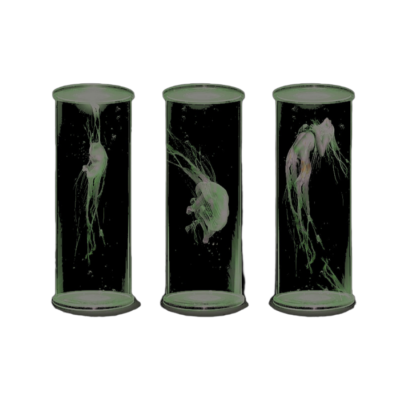 ᅠᅠᅠᅠᅠ* ℬ𝑼𝑹𝑵 𝒚𝒐𝒖𝒓 𝖁𝐈𝐋𝐋𝐀𝒢𝐄 .ᐟ (@burnyxurvillage) on Twitter photo 