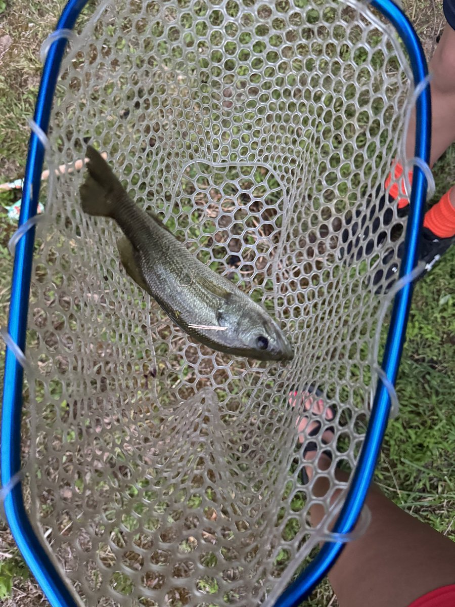 New hot spot! #bass