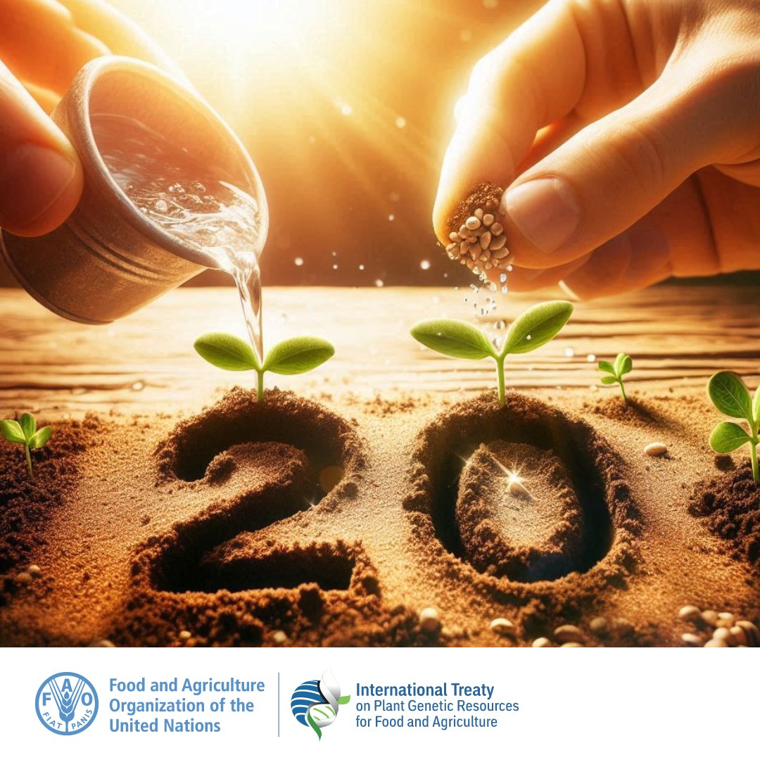 Celebrating 20 years of the International Treaty! 🌱 The private seed sector supports conserving plant genetic resources for #plantbreeding and research. Fair access and clear regulations are key to innovation. #SeedIsLife
<a href="/FAO/">Food and Agriculture Organization</a>