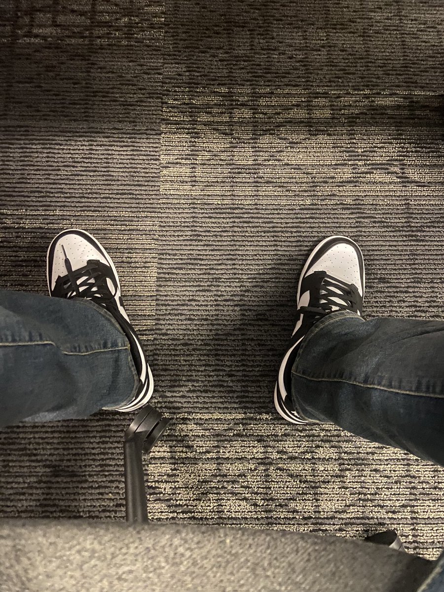 Malottius tweet media