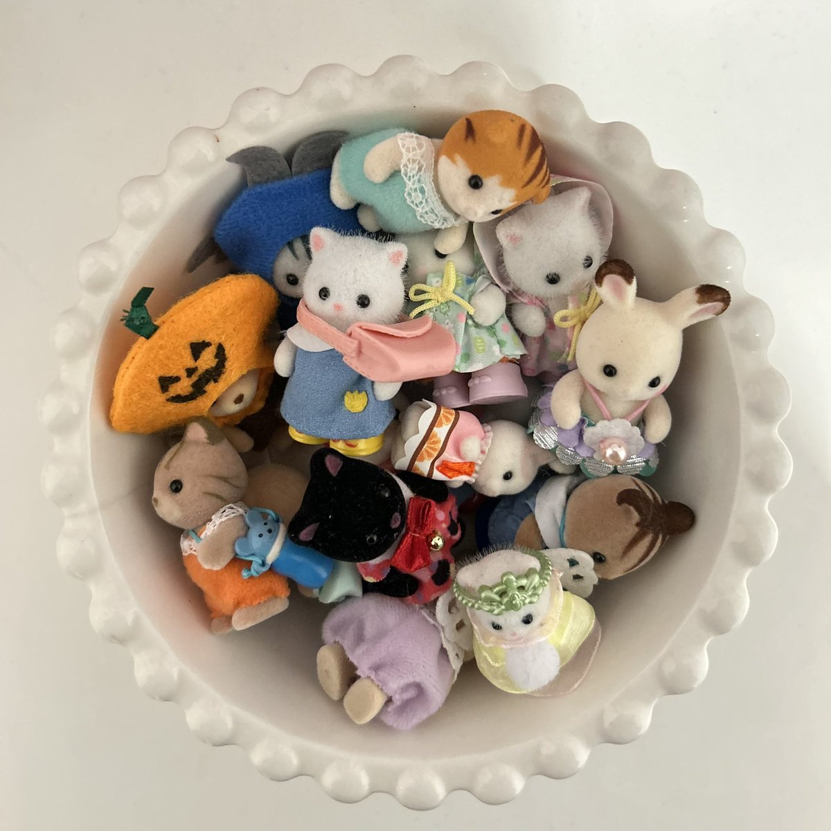 mina ♡ tweet media