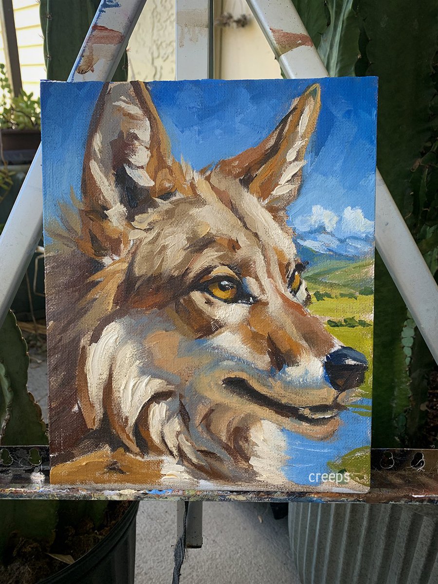 artbycreeps's tweet image. Coyote portrait, quicker practice with oil.