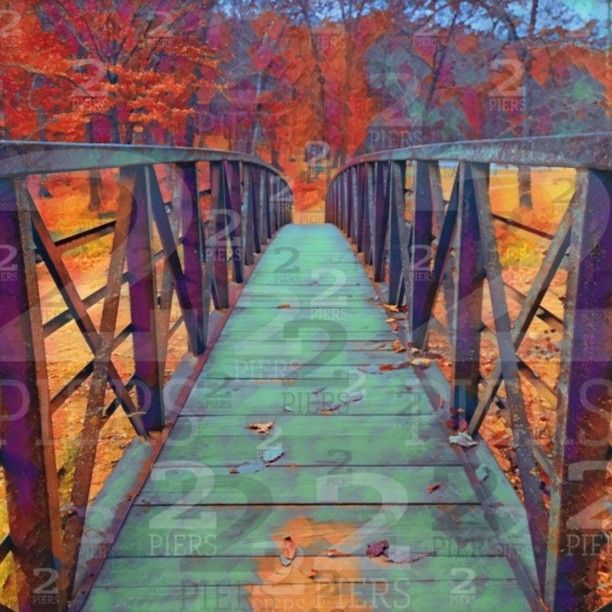 Two_Piers's tweet image. Public Beach Bridge

Contact me if you need color adjustments to match your specific palette.

2piers.com/products/Lake-…

#lakeoftheozarksart #missouriart #bridgeart #autumnart #lakeoftheozarksstatepark