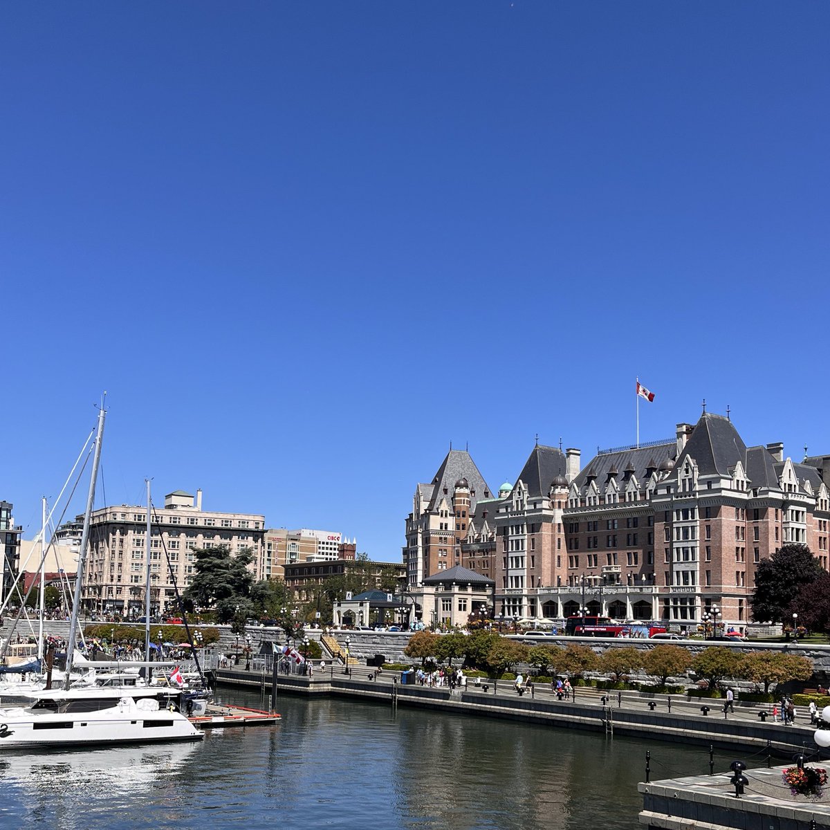 여행 이슈로 솔선 몯해서 기쁜데 슬프다