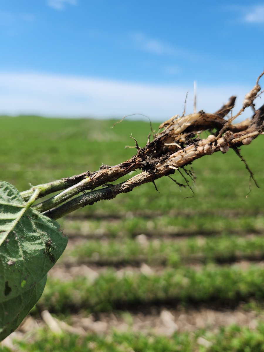 Bruce Potter tweet media