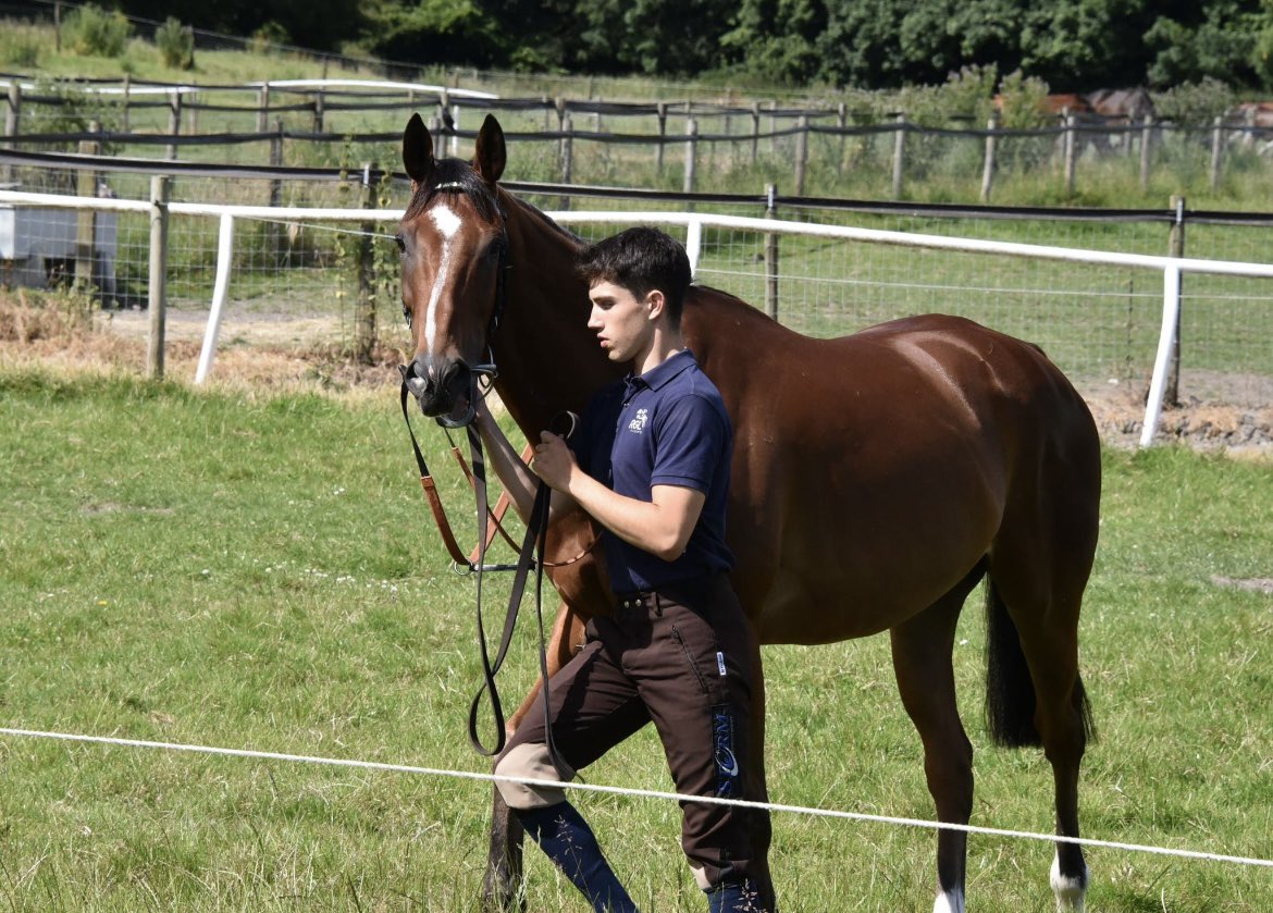 On The Gallops Racing tweet media