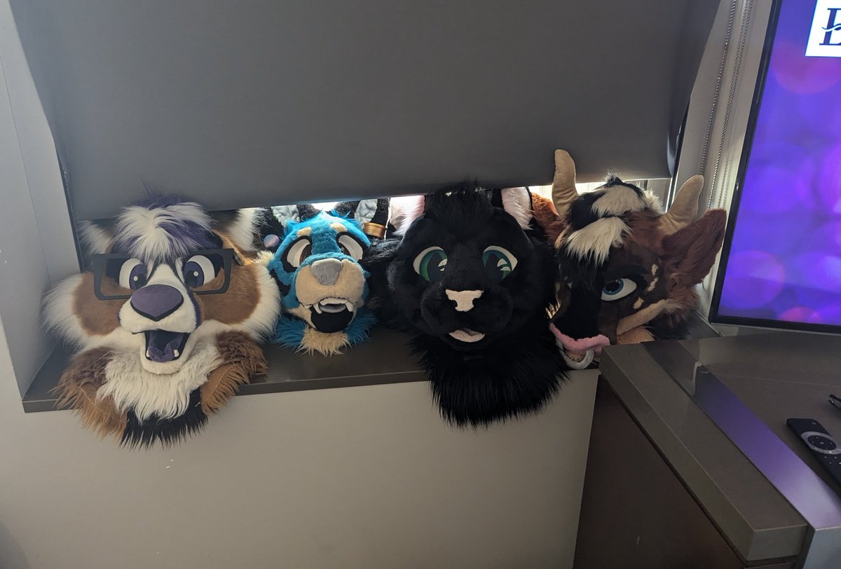 Stratos_Kitty's tweet photo. We are HEEEEERE 
#AC2024 https://t.co/IXmWXSbdWM