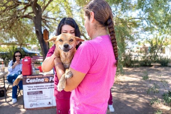 Secretaría de Salud de Baja California tweet media
