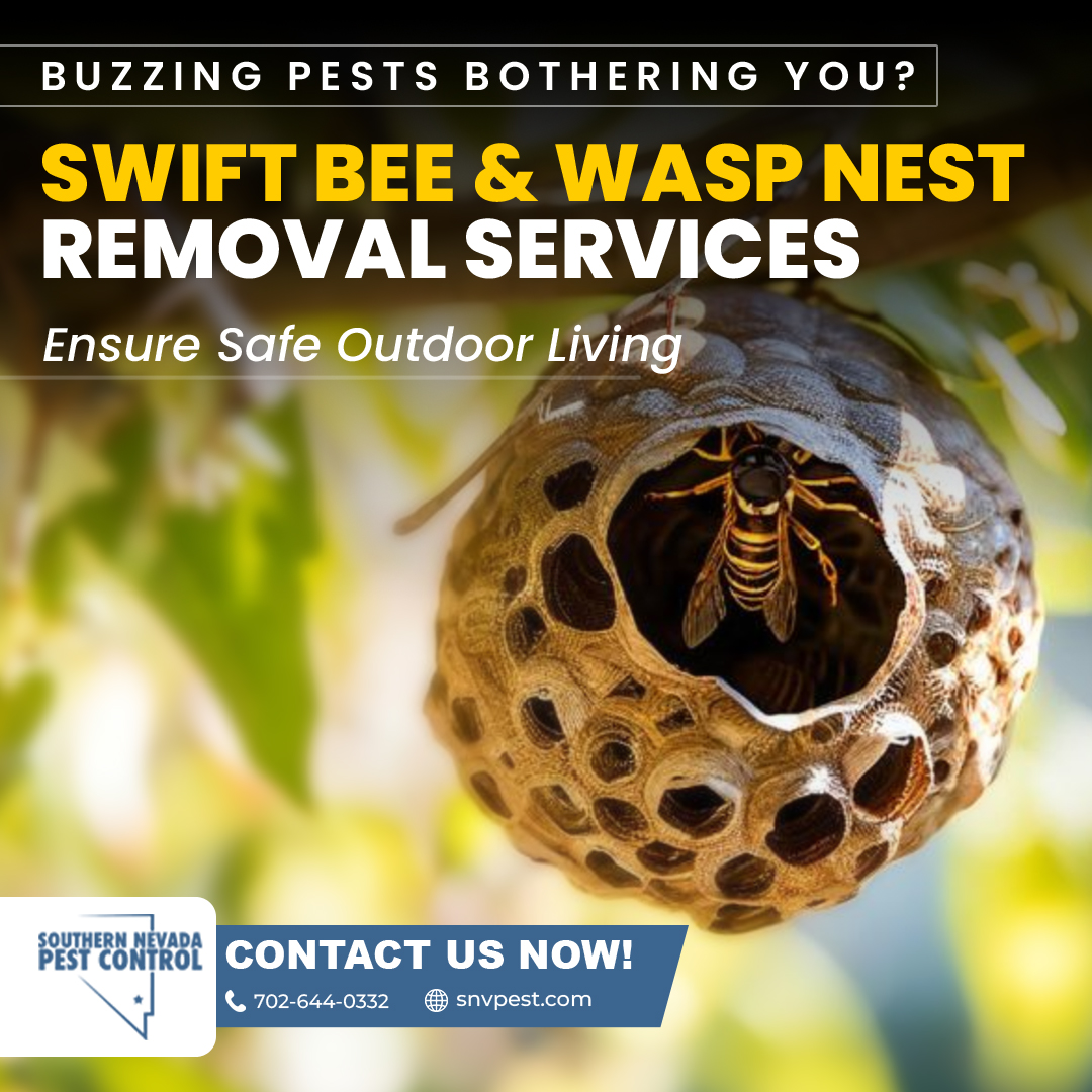 SNVPest's tweet image. Don’t let bee or wasp nests ruin your outdoor fun! Swiftly eliminate buzzing pests with our expert Bee and Wasp Nest Removal Services. Contact #SouthernNevadaPestControl at 702-644-0332 or visit snvpest.com! #WaspNestRemoval #BeeNestRemoval #ExpertPestControl