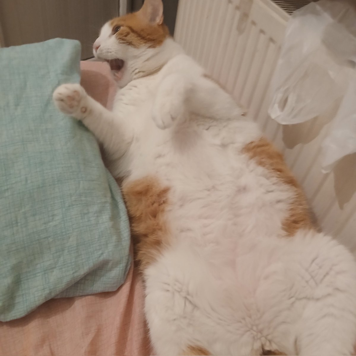 #YeniProfilResmi