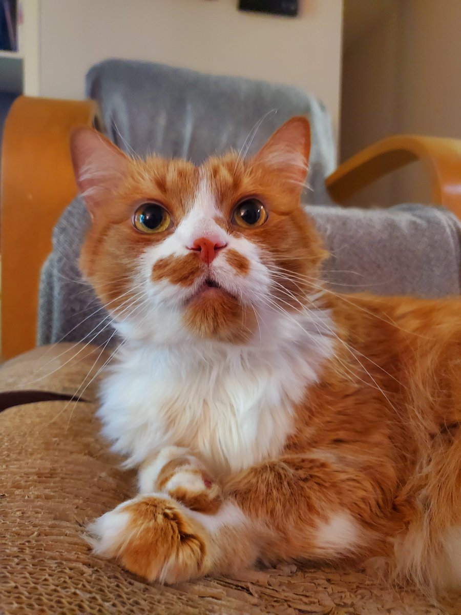 dave wagner tweet media