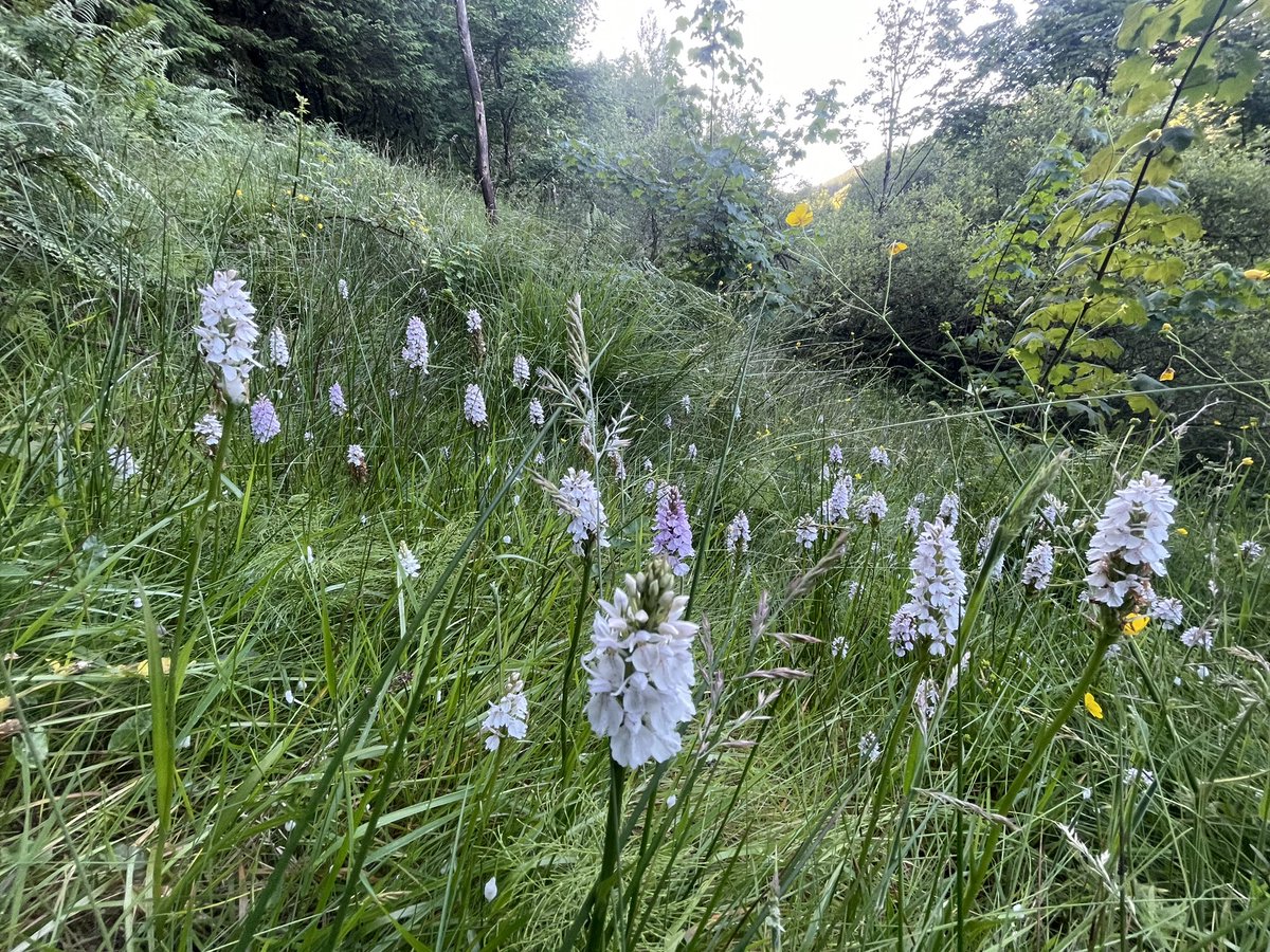 Leigh Morris tweet media