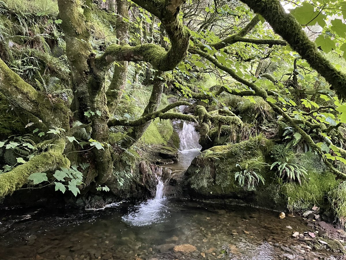 Leigh Morris tweet media