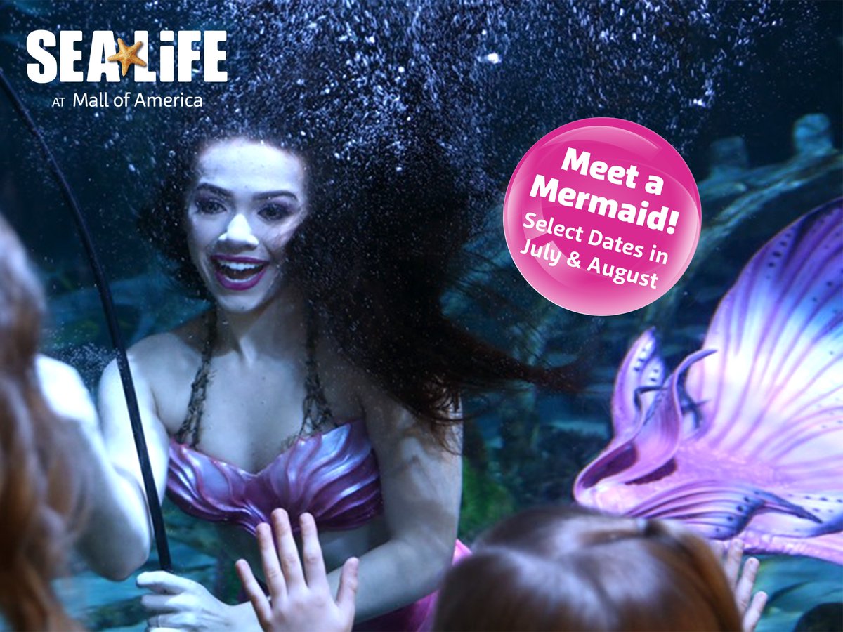 SEA LIFE at Mall of America tweet media