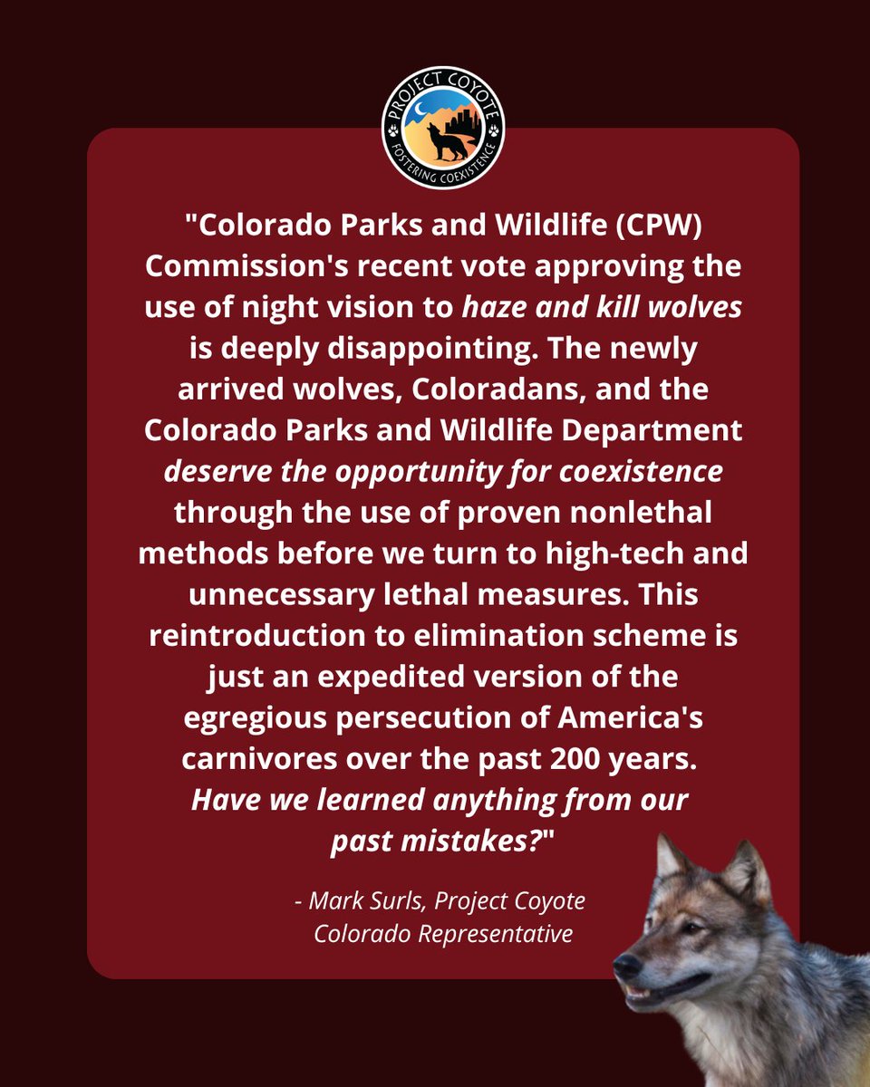By a narrow 6-4 vote, the Colorado Parks and Wildlife Commission implemented several new regulations regarding recently reintroduced gray wolves, notably permitting the use of night vision techn for both hazing &amp; killing wolves amidst their ongoing recovery.

📷 NPS | Jay Elhard