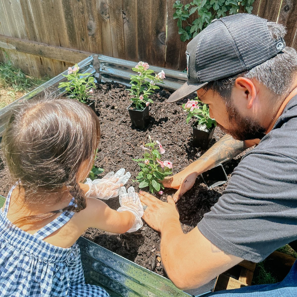 A pink garden bed is always a win in our books 🌸 
bit.ly/3HKwIRh

#Gardenbed #Summergardening #Arrow #Shelterlogic #Whatwillyougrow