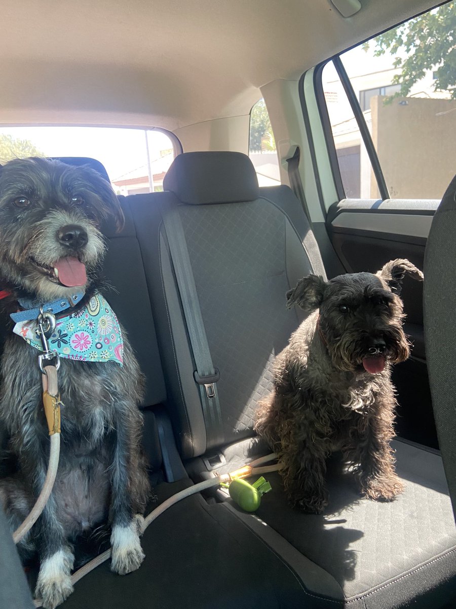 Rodilla rota pero corazón lleno ❤️