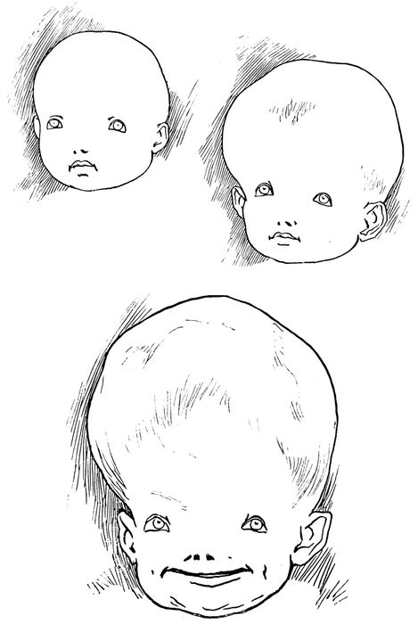 "Convicted Felon" Brandon Perry tweet media