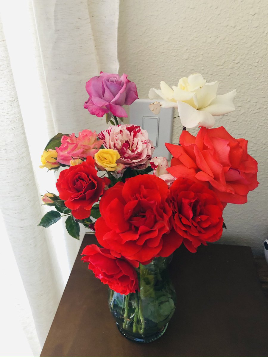 All things pretty 🌻 tweet media