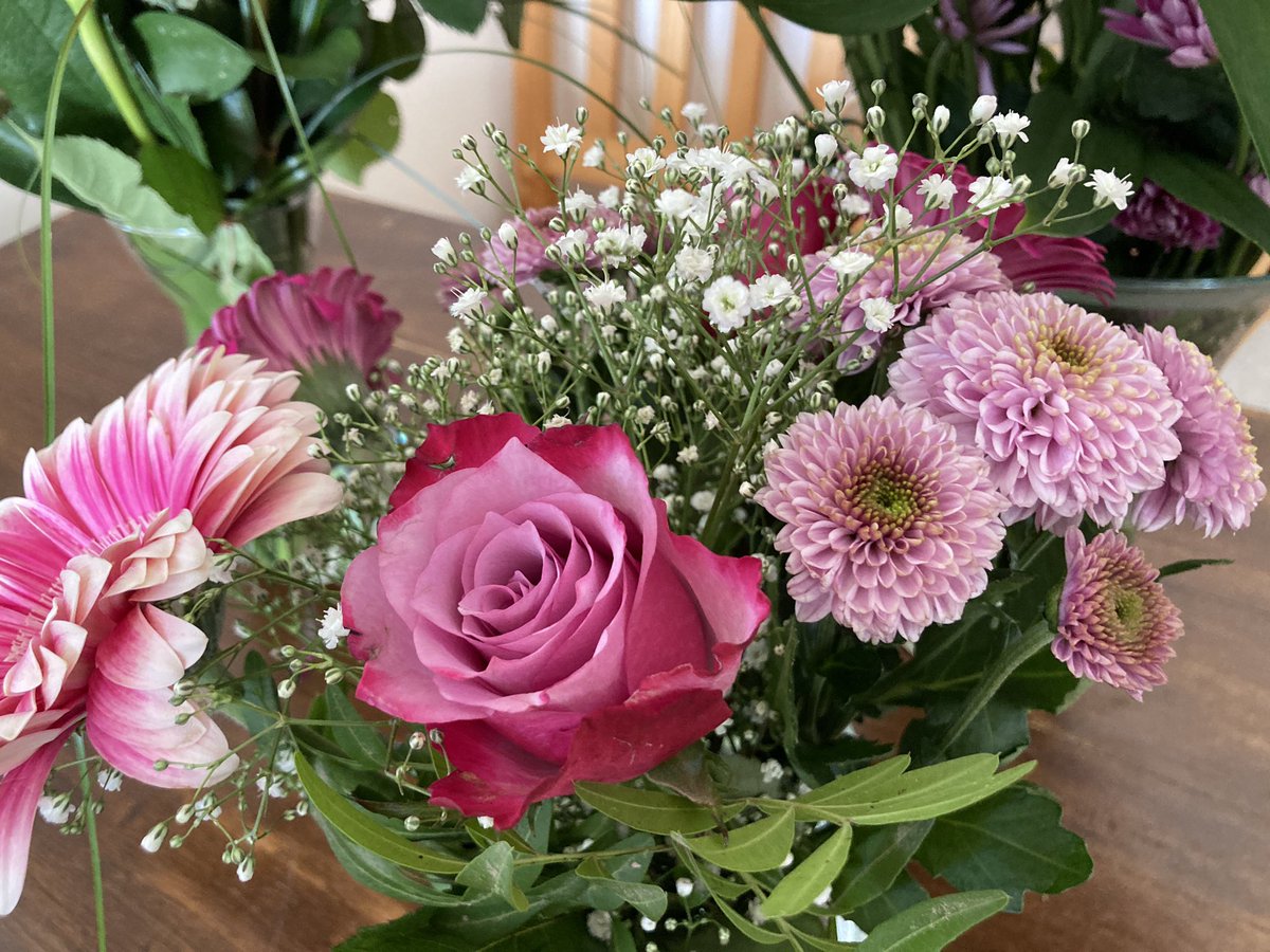 Liebe Raupen, euer Einschulungsmotto „Du bist hier, um zu blühen“ habt ihr mir die letzten Tage und heute vielfach zurückgegeben. Ich werde euch vermissen! Auf alle weiteren Blüten des Lebens! ❤️