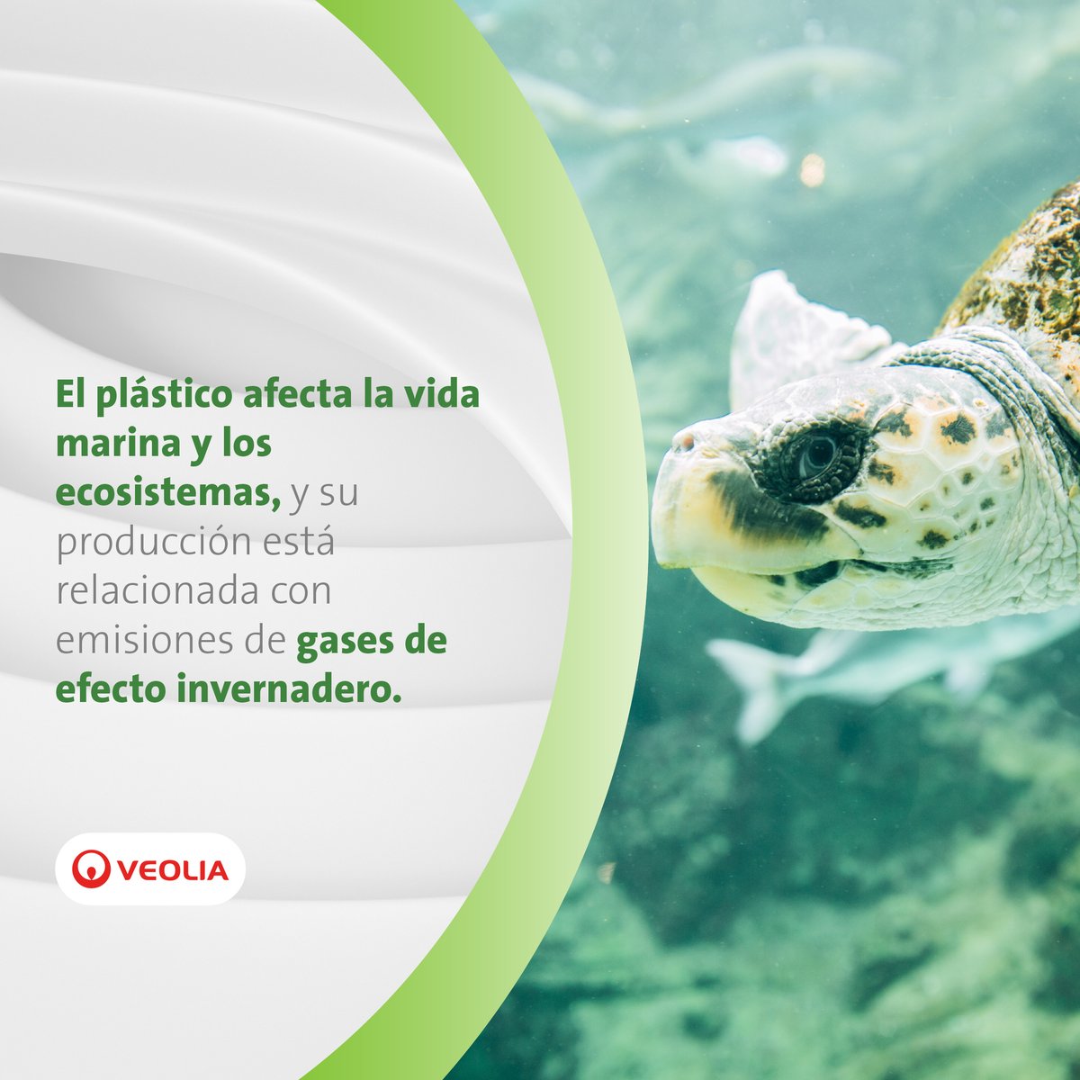 Día Mundial sin bolsas plásticas ❌| ¿Conoces el impacto que generan los plásticos de un solo uso en el planeta 🌎? 

👉 Reemplaza tus bolsas de plástico por opciones reutilizables o compostables. Juntos podemos contribuir al cuidado del planeta. 💪 ¡Únete y cambia tus hábitos!