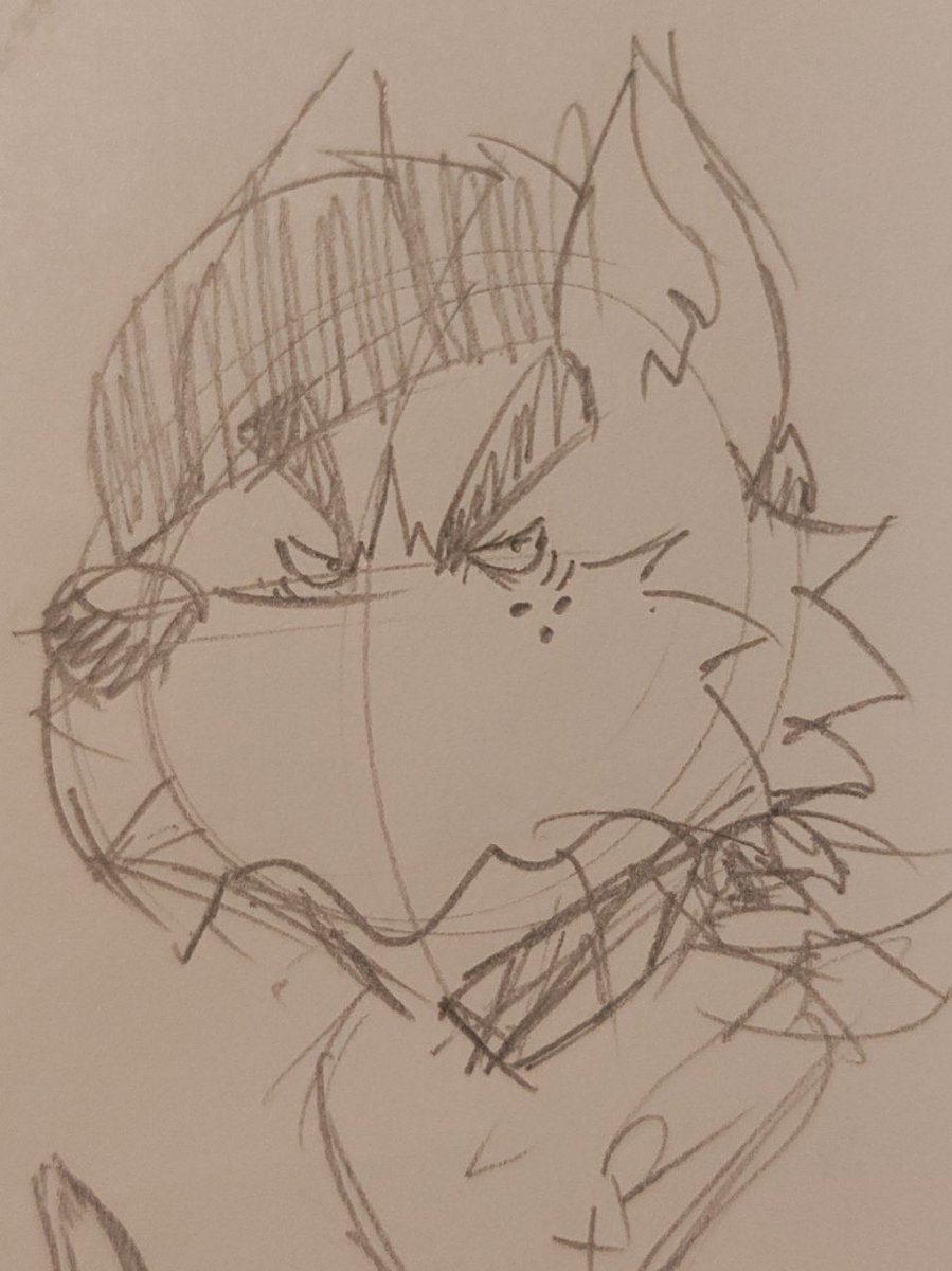 Tried out some silly faces. Left is @IceDragonDee